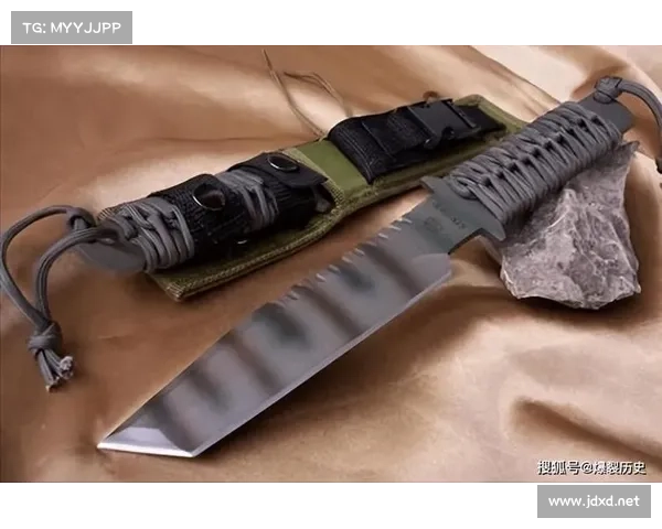 暗影骨龙育成全攻略与优化秘诀详解 提升战力与战术应用技巧 暗影骨龙育成全攻略与优化秘诀详解 提升战力与战术应用技巧