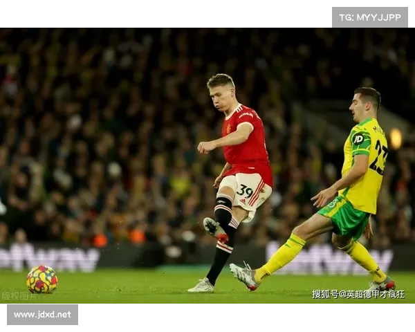 揭开英超停摆背后的真相与深层原因解析