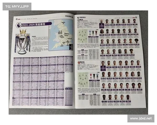 欧冠与法甲英超意甲的差异解析与比较分析