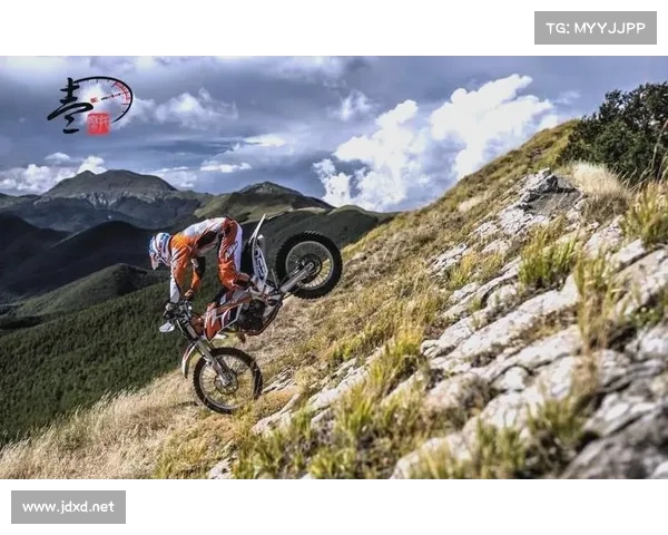 拳击与友谊交织的故事：儿童比赛中的勇气、竞争与心灵碰撞