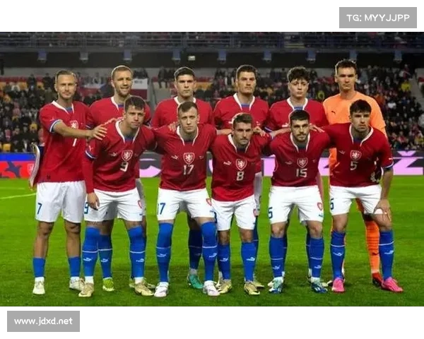 捷克国家队门将现状分析及未来潜力探讨